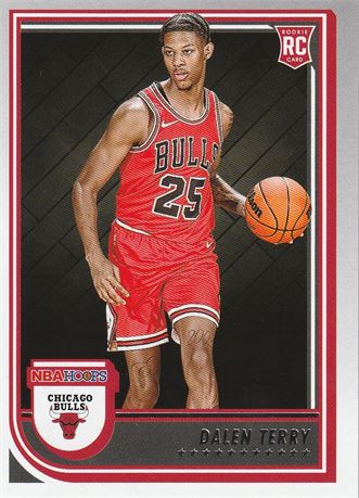 inv133 dalen terry 2022-23 nba hoops card #248 rookie chicago bulls rc