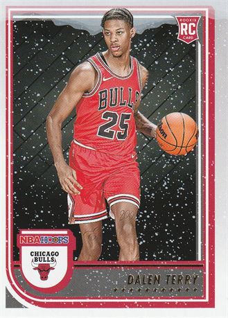 inv107 dalen terry 2022-23 nba hoops winter card #248 rookie chicago bulls rc